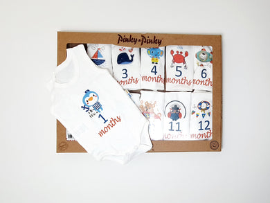 Baby Milestone Set ( 12 pieces )_ sleeveless