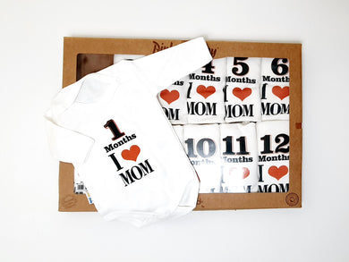 Baby Milestone Set ( 12 pieces )