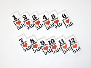 Baby Milestone Set ( 12 pieces )