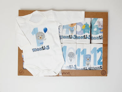 Baby Milestone Set ( 12 pieces )