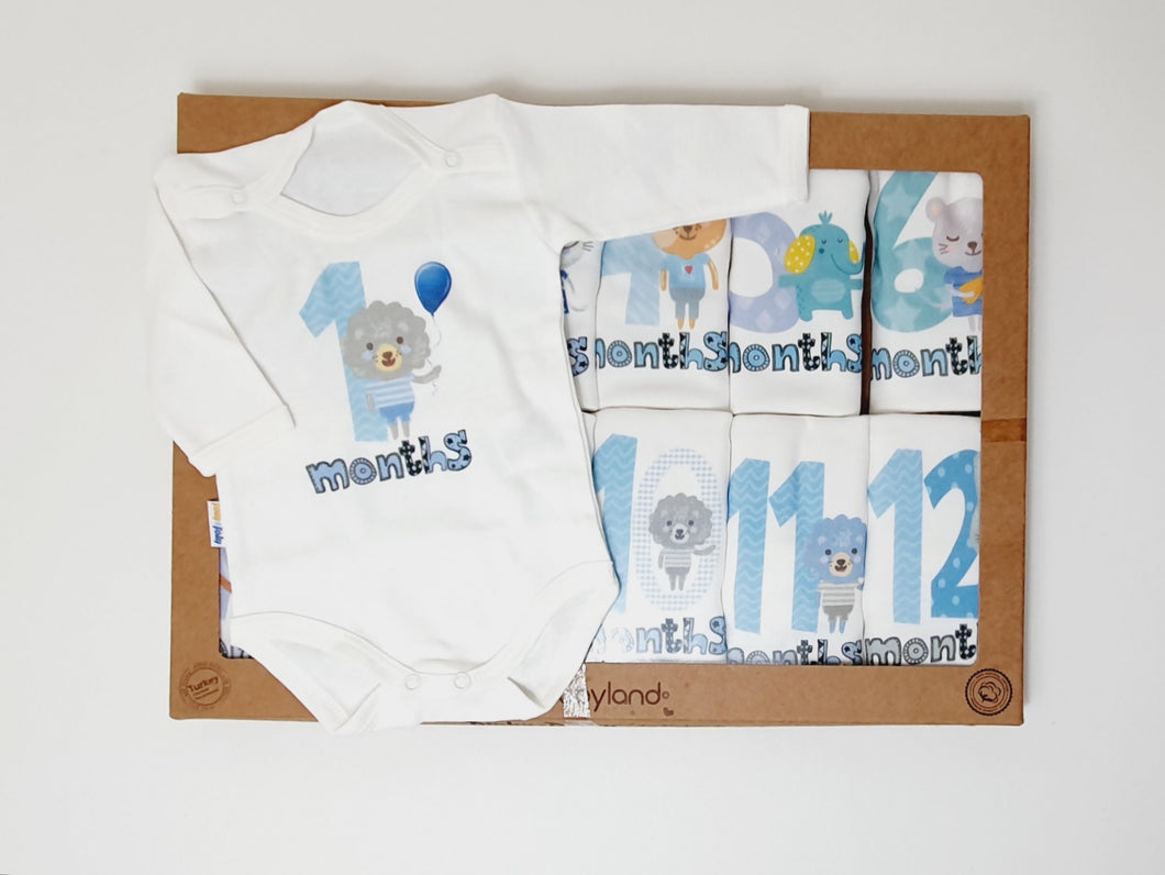 Baby Milestone Set ( 12 pieces )