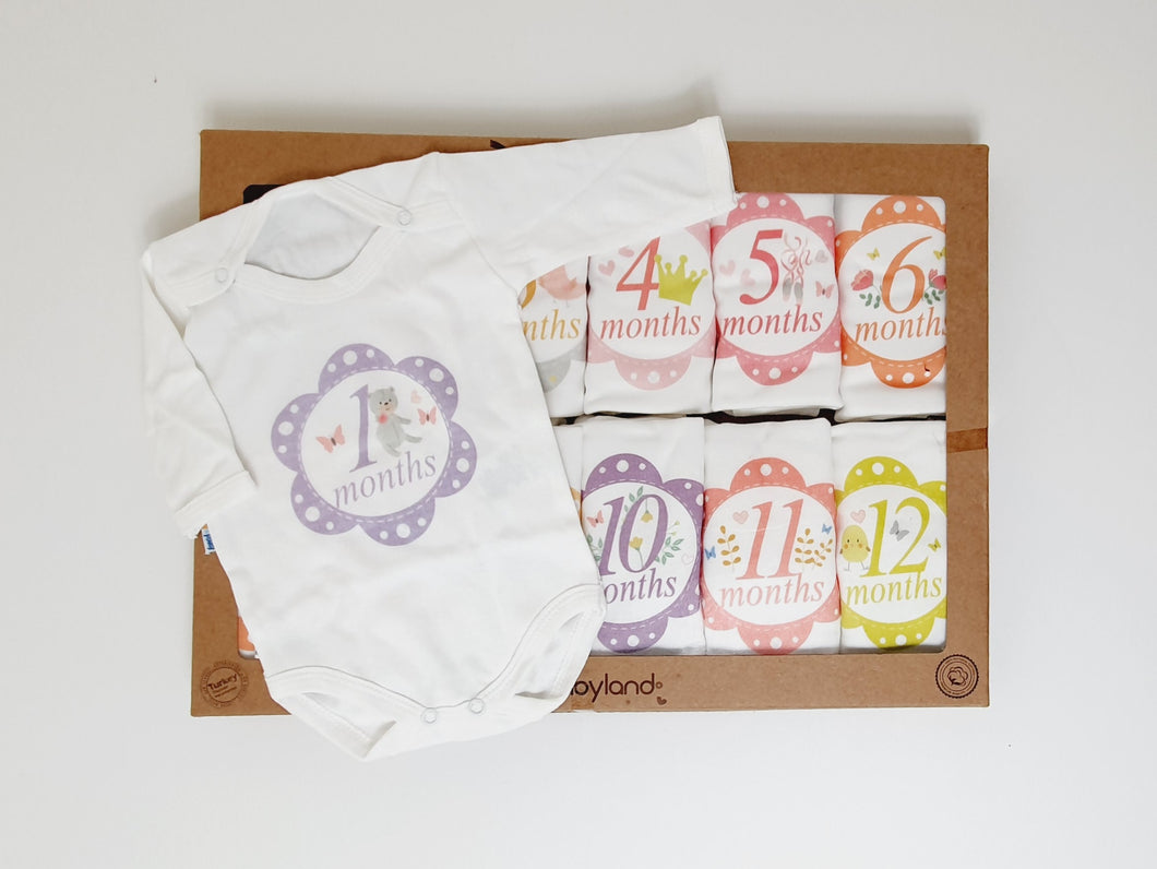 Baby Milestone Set ( 12 pieces )