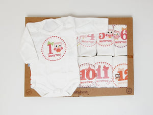 Baby Milestone Set ( 12 pieces )