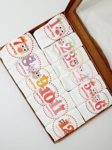 Baby Milestone Set ( 12 pieces )