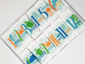 Baby Milestone Set ( 12 pieces ) _ sleeveless
