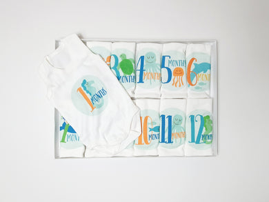 Baby Milestone Set ( 12 pieces ) _ sleeveless