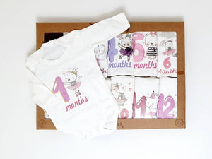 Baby Milestone Set ( 12 pieces )