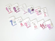 Load image into Gallery viewer, Baby Milestone Set ( 12 pieces )