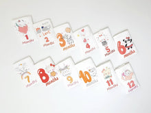 Load image into Gallery viewer, Baby Milestone Set ( 12 pieces )