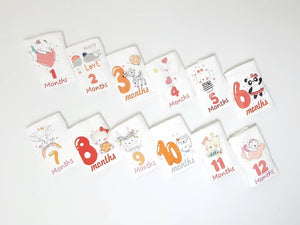 Baby Milestone Set ( 12 pieces )
