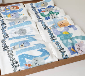 Baby Milestone Set ( 12 pieces )