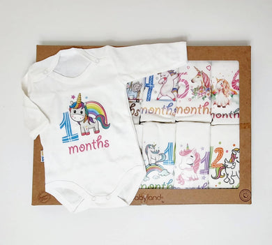 Baby Milestone Set ( 12 pieces )