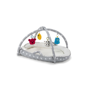 Baby Activity Gym Bed